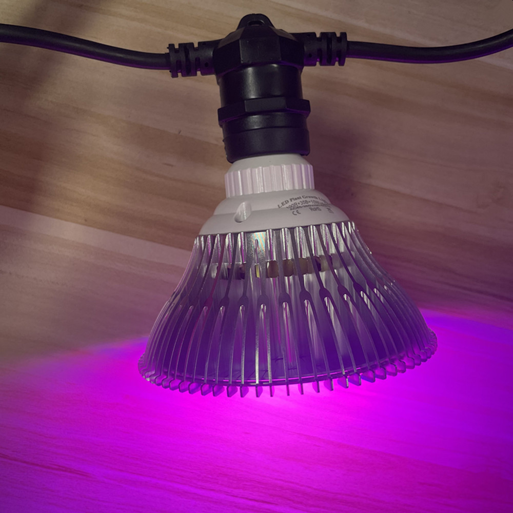 10 m langes LED-Kabel, wasserd – Outdoor Lighting Manufacturers Bewertung und Preis