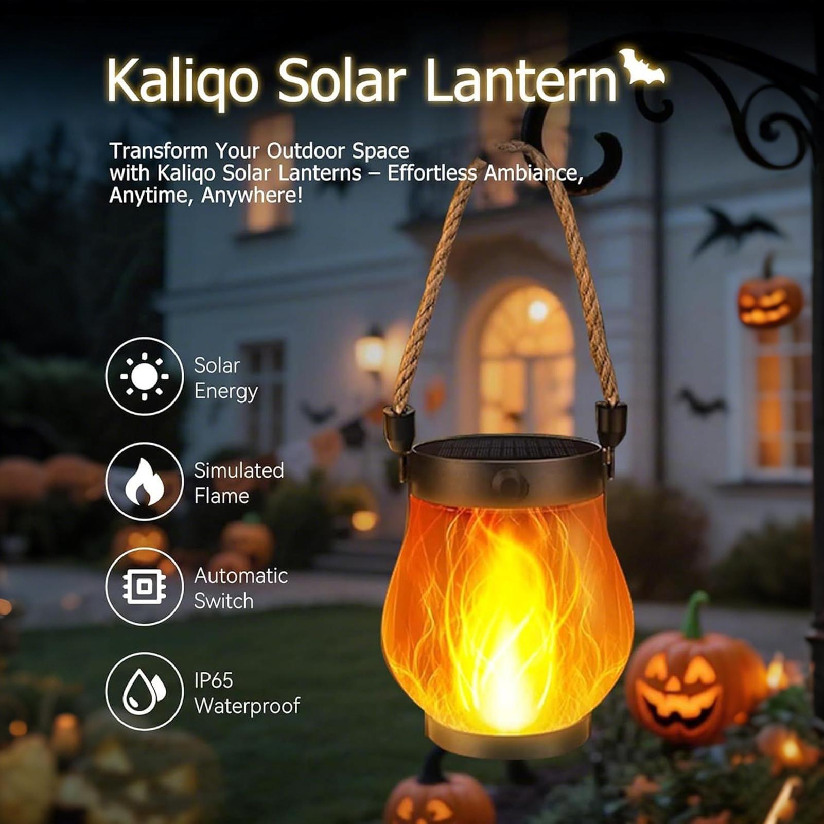 Solar-Flackerlichter mit Flamm – Fire Torch Solar Bewertung und Preis